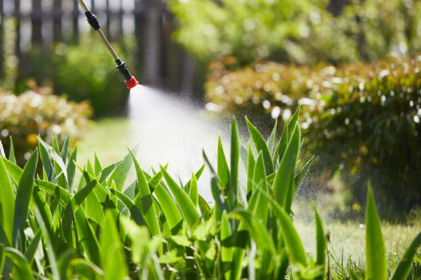 24/7 Emergency Mosquito Control experts in Schleswig, IA